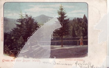 Großer Arbersee - D 1901 95 001 ●